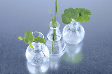 Plants in test tubes, on color background