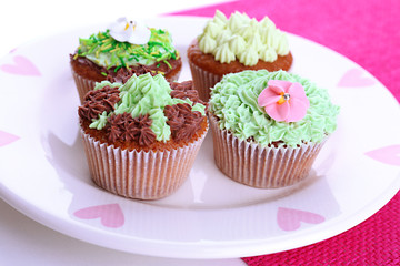 Tasty cupcakes with butter cream,