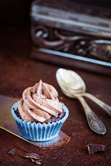 Delicious cupcake with chocolate frosting