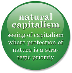 dictionary definition of the term Natural Capitalism