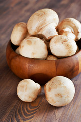 Fresh mushrooms champignon in wooden bowl