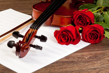 Fototapeta premium Red roses and a violin