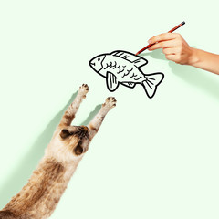 Fototapeta premium Siamese cat