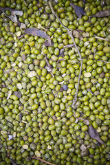 Soybean background pattern.