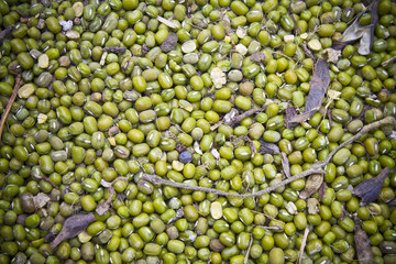 Soybean background pattern.