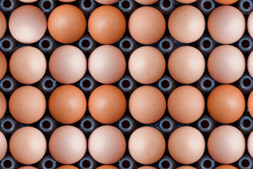 Eggs panel in Thailand.