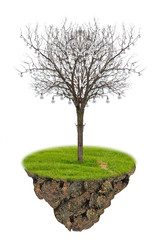 Obraz premium The single dead tree.