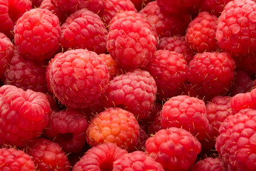 Raspberries