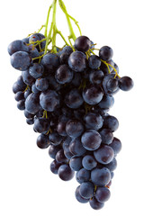 grappe de raisin rouge