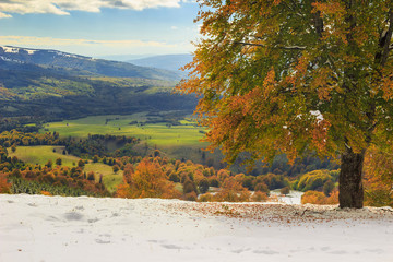 Beautiful autumn landscape in the forest,Carpathians,Transylvani