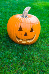 Obraz premium Jack-o-lantern on green grass