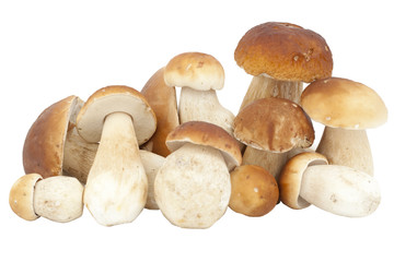 mushrooms