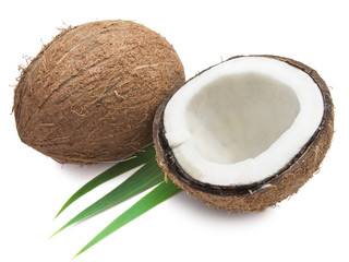 Coconut