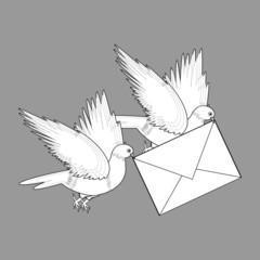 A sketch of two flying doves with a letter