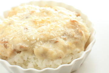 italian cuisine, Doria white sauce and chicken on rice