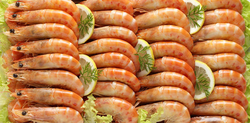 tray of shrimps