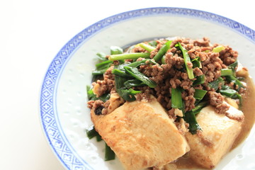 chinese food, mince pork and tofu stir fried 