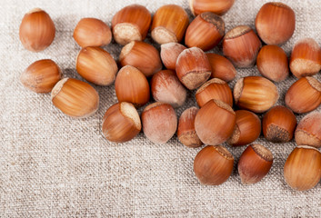 Nuts filberts isolated on white background