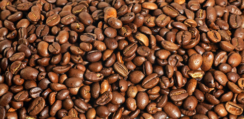 coffee beans background