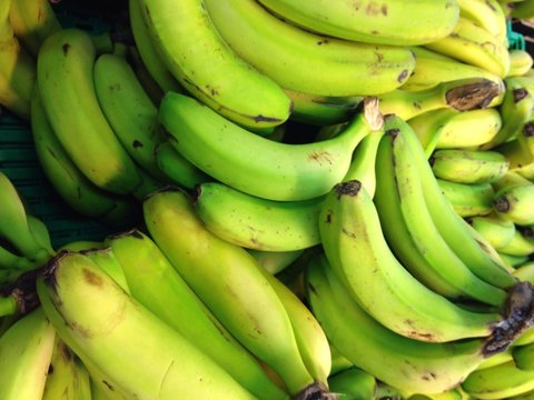 Platanos de canarias