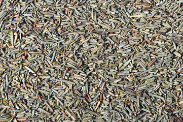 Rosemary (Rosmarinus officinalis)