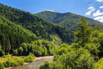 Fototapeta na wymiar Mountain river near forest