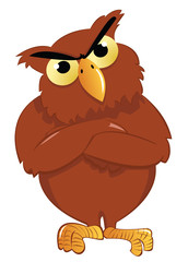 angry owl