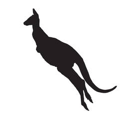 Kangaroo Jump