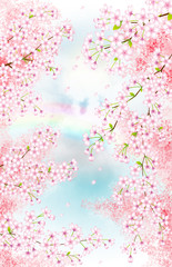 Obraz na płótnie Canvas 桜
