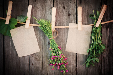 medicine herbs and paper attach to rope with clothes pins on woo