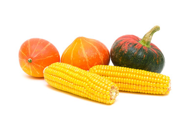 two ears of corn and three pumpkins on a white background