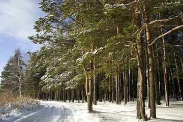 пейзаж © mifidor