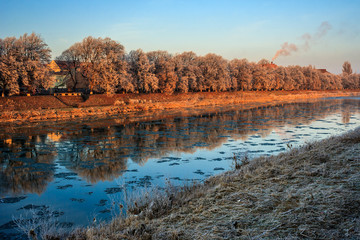hoarfrost on a winter morning