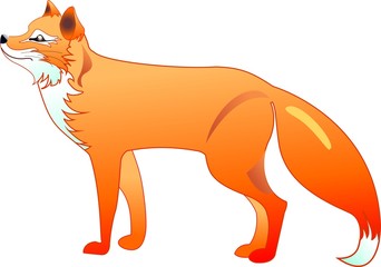 The red fox