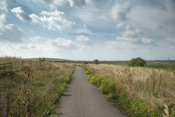 Footpath through fields, England