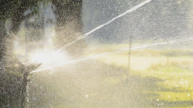 Water springer watering the grass around