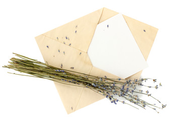 Old envelope with blank paper and lavender isolated on white