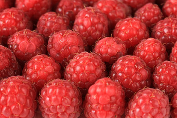 Ripe sweet raspberries, close up