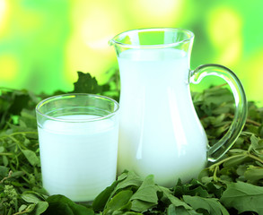 Pitcher and glass of milk on grass on nature background