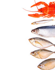 Assorted fish on white background with place for text