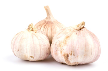 Fototapeta premium Garlic