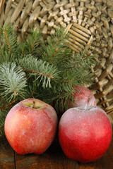 Obraz premium Red frosted apples with fir branch on table on wicker