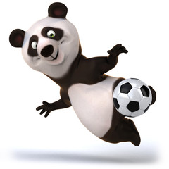 Panda © Julien Tromeur