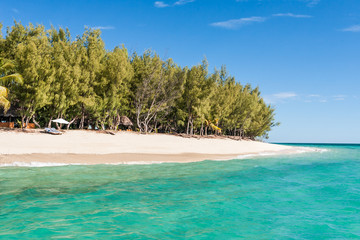 Paradise island