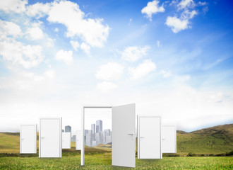 Fototapeta premium Open doors in a meadow