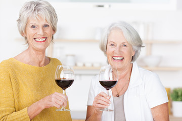 zwei ältere freundinnen trinken ein glas rotwein