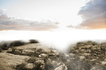 Serene landscape