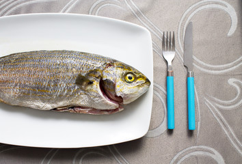 Fresh fish on plate
