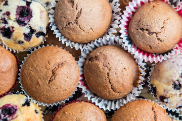Schokoladen und Blaubeer Muffins