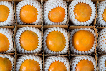 Fresh Oranges in the  box for selling
